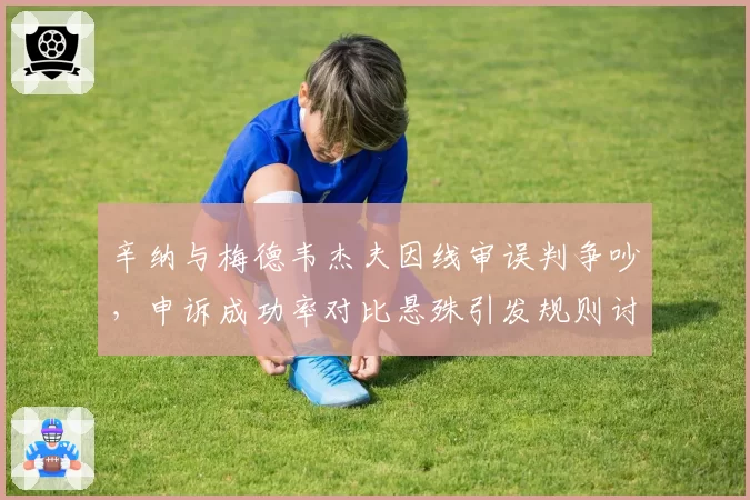 辛纳与梅德韦杰夫因线审误判争吵，申诉成功率对比悬殊引发规则讨论